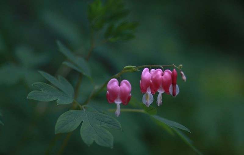 Tinh thần liên đới phải được thể hiện trong việc bảo vệ thiên nhiên