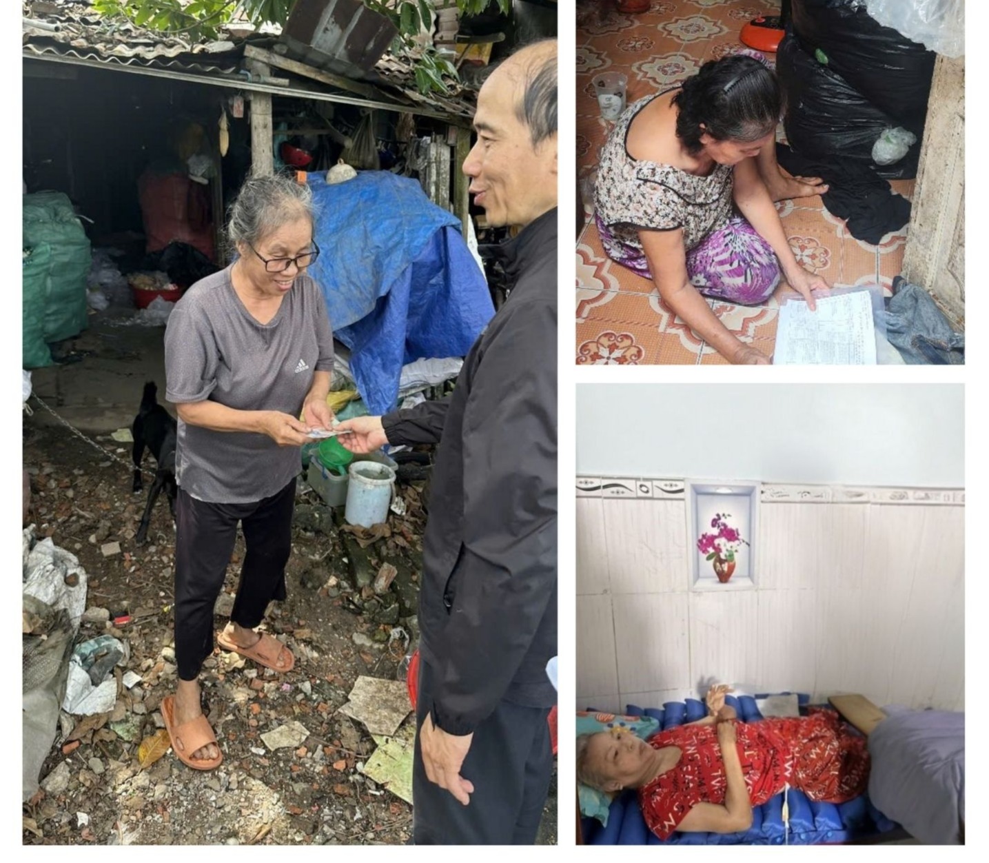 ĐÔI ĐIỀU CẢM NHẬN VỀ DỰ ÁN “HẠT GẠO TÌNH THƯƠNG”