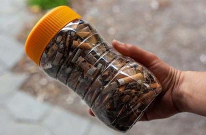 Tuần lễ Laudato Si' (16-24/5) trong mùa đại dịch