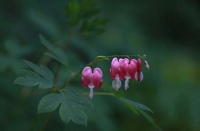 Caritas quốc tế: Tinh thần liên đới phải được thể hiện trong việc bảo vệ thiên nhiên