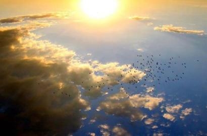 Tài liệu của Vatican về sinh thái học toàn diện: Bảo vệ thiên nhiên là trách nhiệm của mọi người