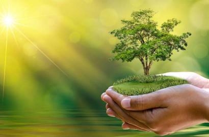 Các đề tài của Thông Điệp