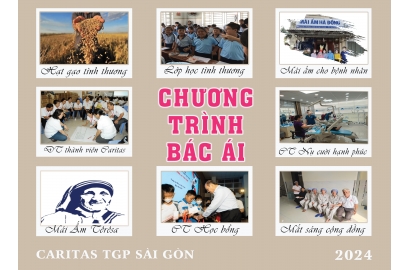 Các Chương Trình Bác Ái Năm 2024 Của TGP