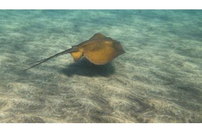 ĐỨC THÁNH CHA CẢNH BÁO VIỆC KHAI THÁC NƯỚC