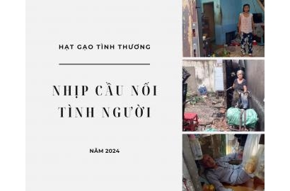 HẠT GẠO TÌNH THƯƠNG – NHỊP CẦU NỐI TÌNH NGƯỜI
